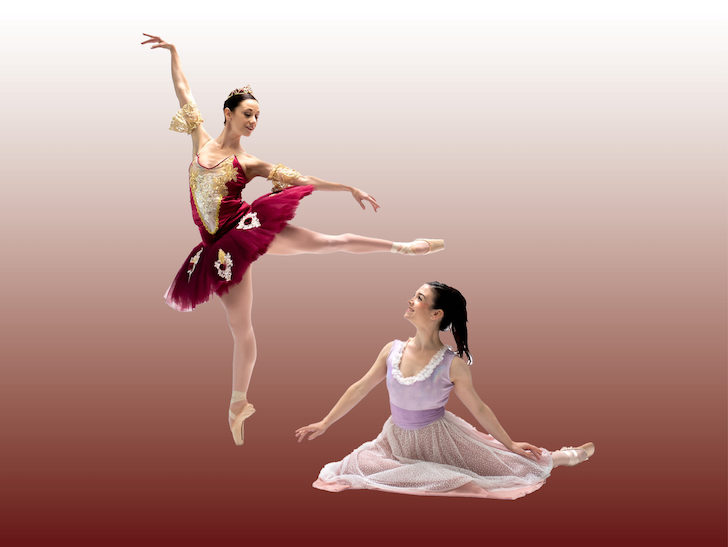 Nutcracker sale suite ballet