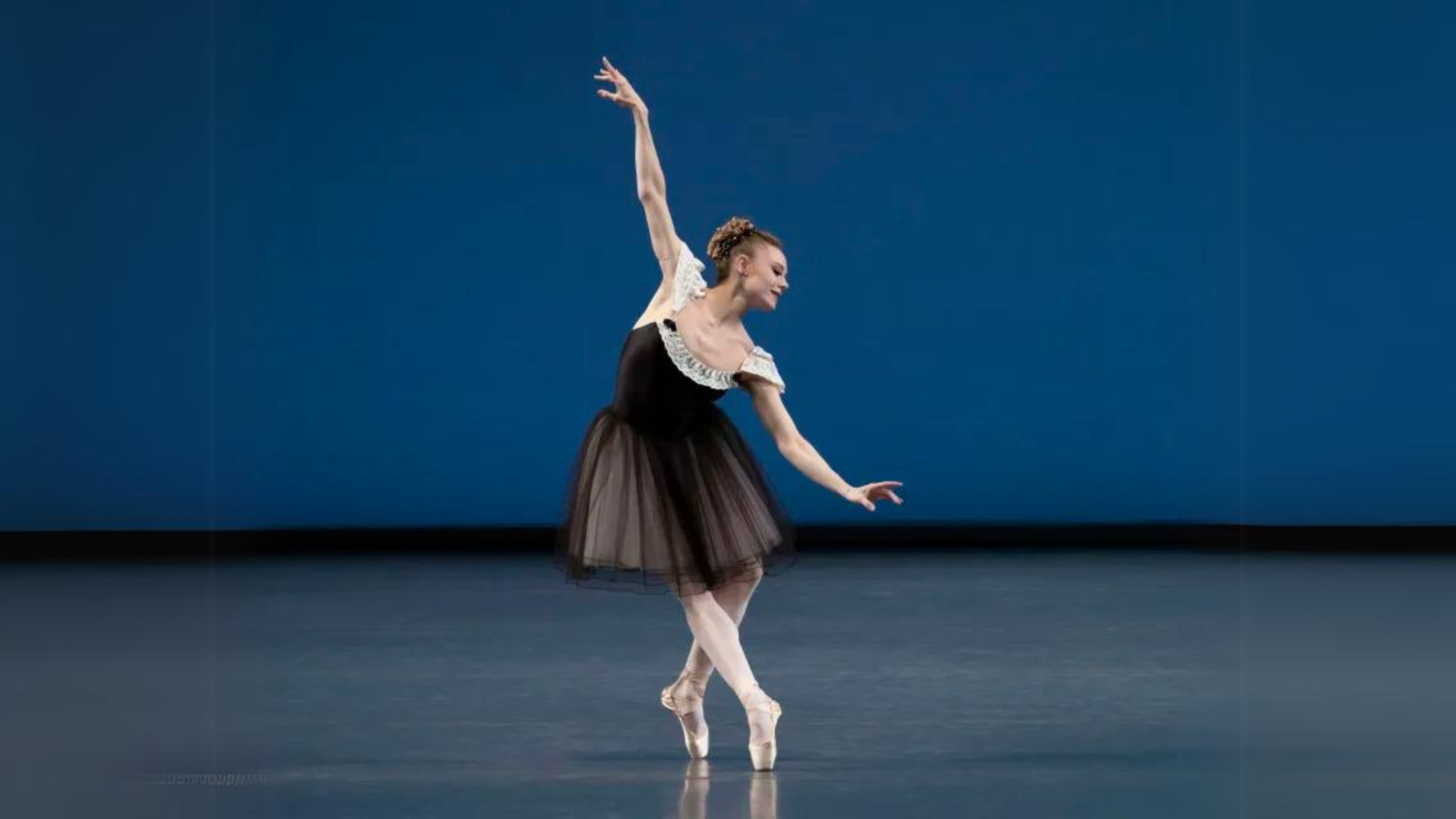 Donde Van Las Mariposas En Face Magazine