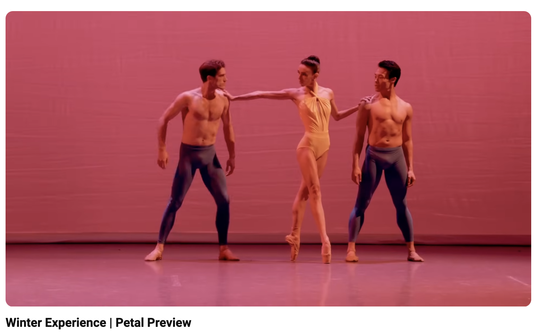 Boston Ballet's Winter Experience | Petal Preview