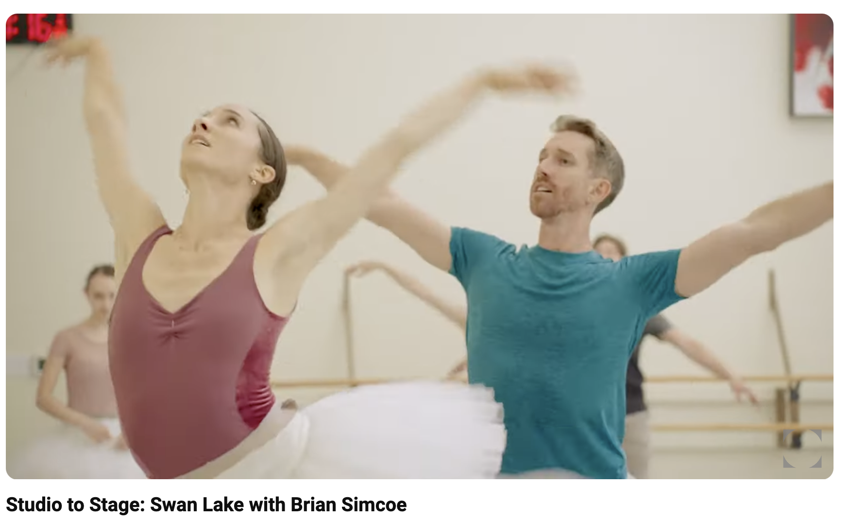 Studio to Stage: Swan Lake with Brian Simcoe