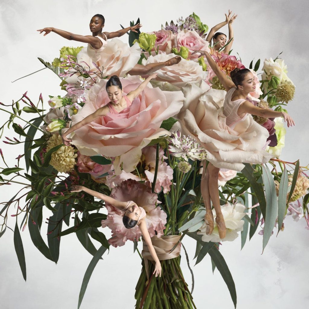 Roses for the Last Dance